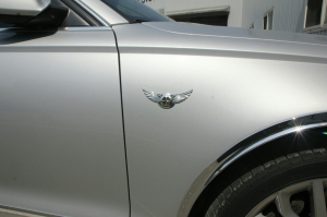 Эмблема на капот корейского бренда на KIA Soul универсальная 130мм (хром) Autoclover - Автоаксессуары и тюнинг
