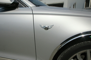эмблема на капот универсальная 130мм (хром) Autoclover partID:4557 - Автоаксессуары и тюнинг