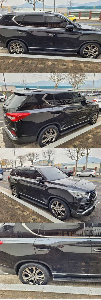 Хромированные молдинги на двери Autoclover - SsangYong Rexton 2017-2025 E555