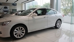 Хромированные молдинги на двери Autoclover - Honda Accord IX 2013-2017